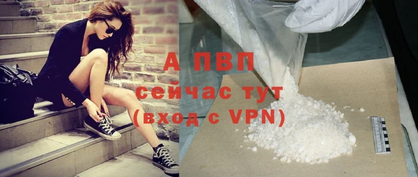 ГАЛЛЮЦИНОГЕННЫЕ ГРИБЫ Волосово
